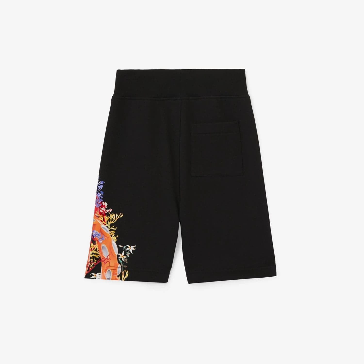 Coral Logo Graphic Cotton Shorts, view 3