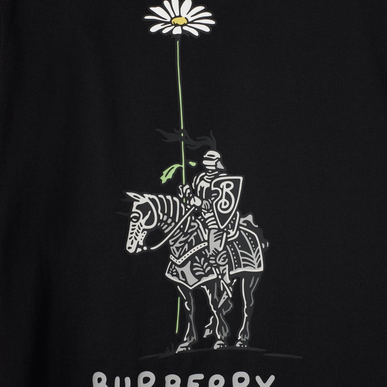 Knight Daisy Cotton T-shirt, view 5