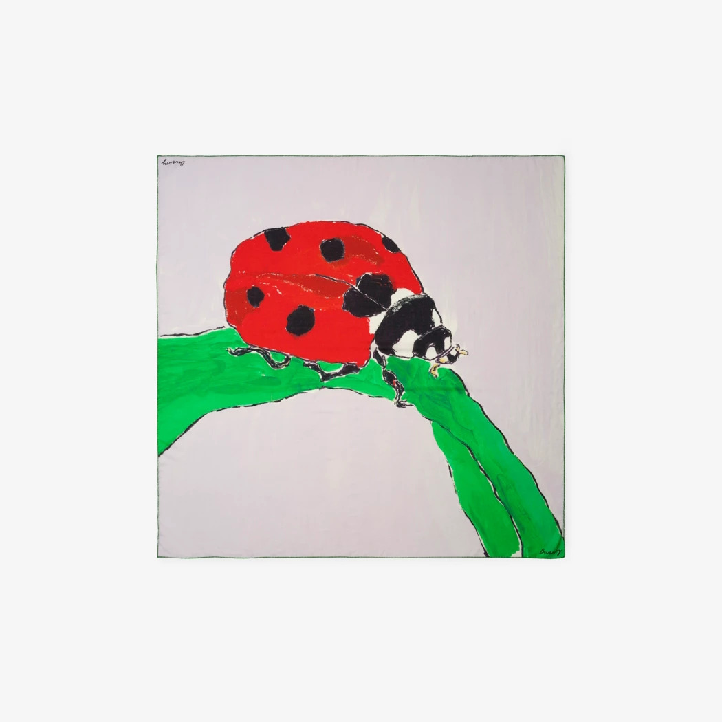 Ladybird Cashmere Silk Scarf