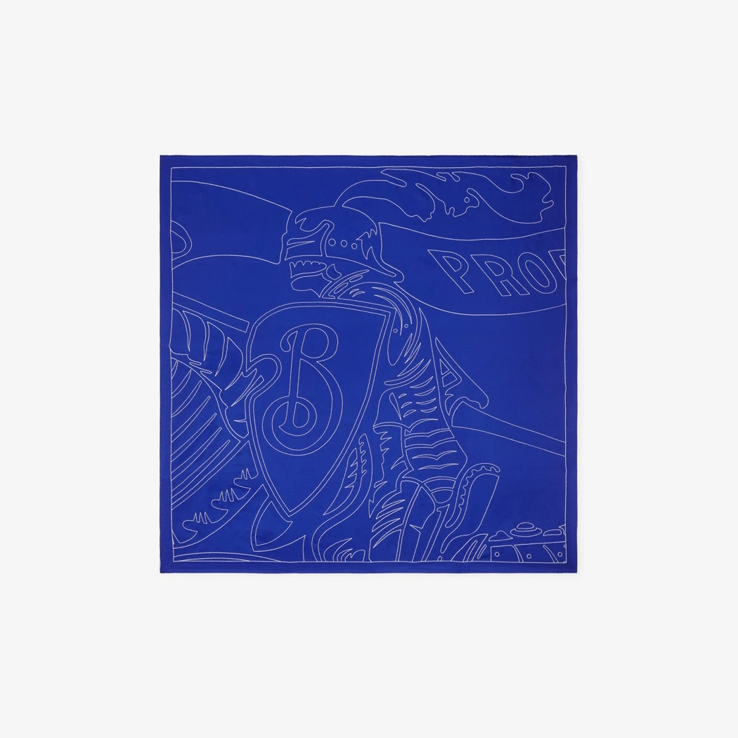 Ekd Silk Scarf