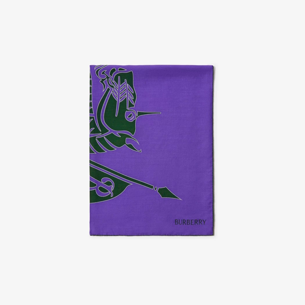 Ekd Cashmere Silk Scarf